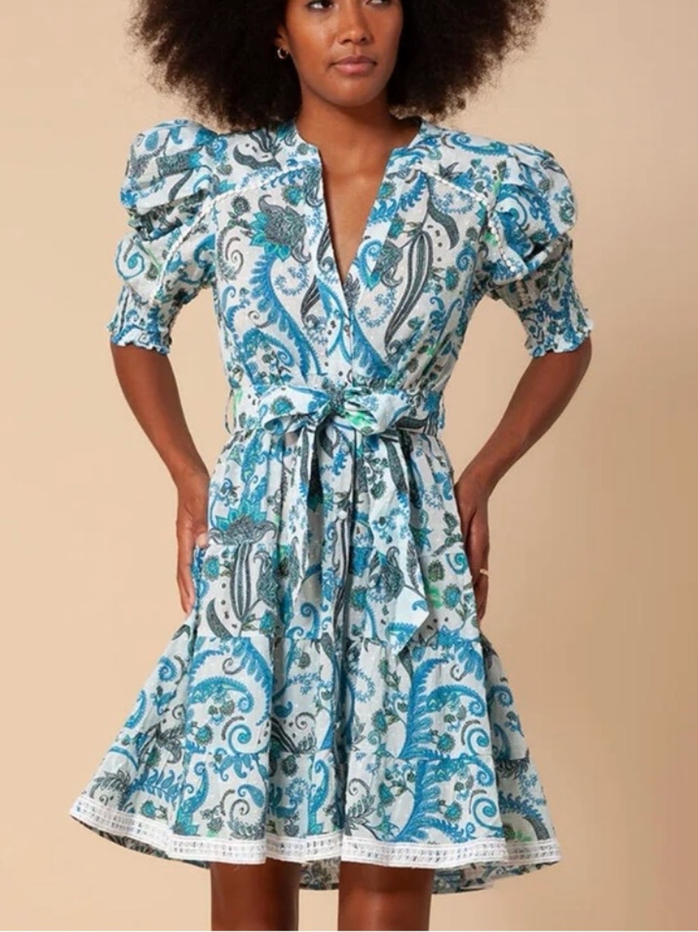HALE BOB Roxie Dress Blue Floral Pockets SMALL